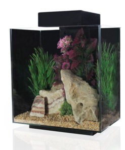 Bể cá cảnh Aqua One Platform Black Aquarium