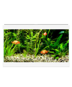 Bể cá cảnh Ciano Aqua 20C Fish Aquarium White