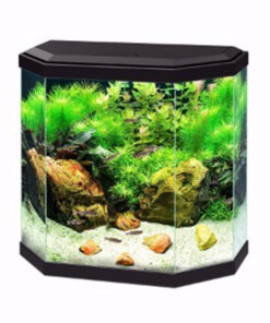 Bể cá cảnh Ciano Aquarium Black 25 Litre