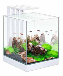 Bể cá cảnh Ciano Nexus 25 LED Aquarium Light 22 Litres Tank White