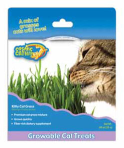 Cỏ lúa mì cho mèo Cosmic Kitty Cat Grass