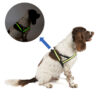Đai ngực cho chó Dog Walk Reflective LED Flashing Dog Harness