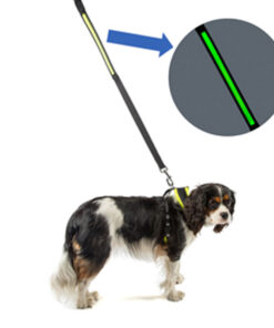 Dây dắt chó Dog Walk Reflective Flashing Dog Lead