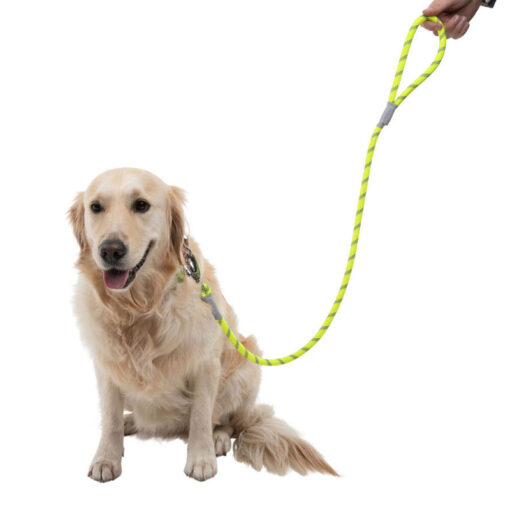 Dây dắt chó Dog Walk Reflective Hi-Visibility Rope Dog Lead Yellow