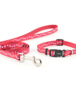 Dây dắt chó kèm vòng cổ Ancol Stars Small Bite Puppy Collar & Lead Set Red