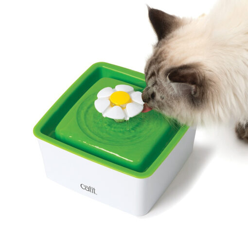 Đồ dùng cho mèo Catit 2.0 Flower Mini Cat Water Fountain