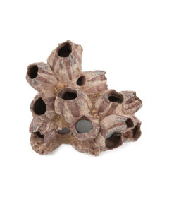 Đồ trang trí bể cá Aqua One Purple Barnacle Large Cluster