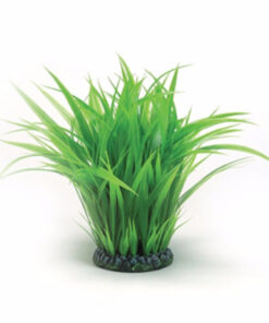 Đồ trang trí bể cá BiOrb Grass Ring Aquarium Plant