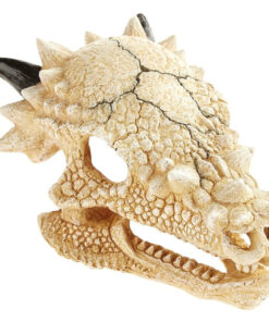 Đồ trang trí bể cá Classic Dragon Skull Aquarium Ornament