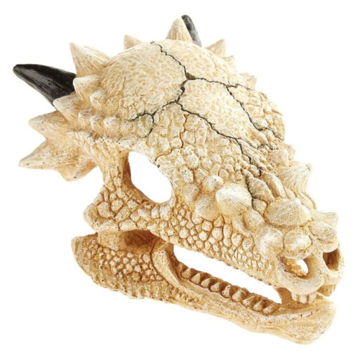 Đồ trang trí bể cá Classic Dragon Skull Aquarium Ornament