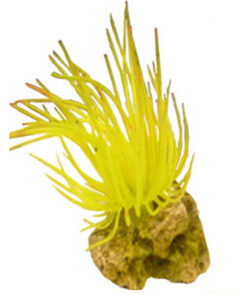 Đồ trang trí bể cá Classic Rubber Spider Coral