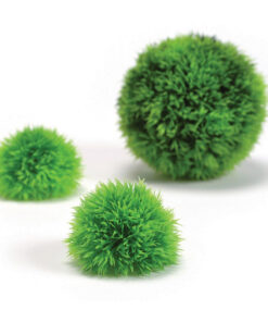 Đồ trang trí cho bể cá BiOrb Plastic Aquarium Topiary