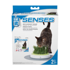 Hạt giống cỏ mèo Catit Senses Grass Garden Refill