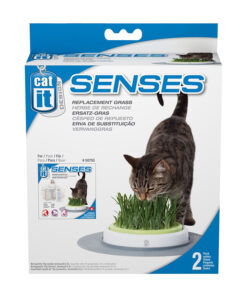 Hạt giống cỏ mèo Catit Senses Grass Garden Refill