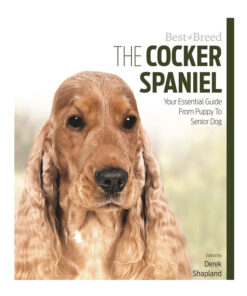 Sách dạy nuôi chó Best Of Breed Cocker Spaniel