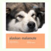 Sách dạy nuôi chó Dog Expert Alaskan Malamute Book