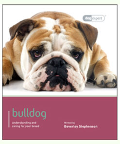 Sách dạy nuôi chó Dog Expert Bulldog Book