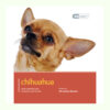 Sách dạy nuôi chó Dog Expert Chihuahua Book