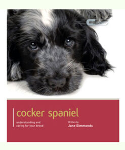 Sách dạy nuôi chó Dog Expert Cocker Spaniel Book