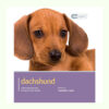 Sách dạy nuôi chó Dog Expert Dachshund Book