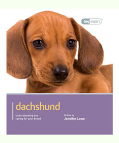 Sách dạy nuôi chó Dog Expert Dachshund Book