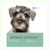 Sách dạy nuôi chó Dog Expert Miniature Schnauzer Book