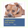 Sách dạy nuôi chó Dog Expert Staffordshire Bull Terrier Book