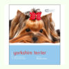 Sách dạy nuôi chó Dog Expert Yorkshire Terrier Book