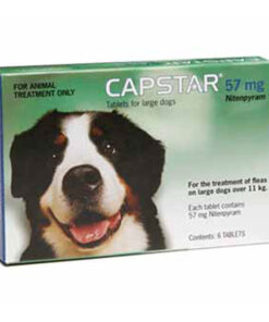 Thuốc trị ve rận chó Capstar Dog Flea Treatment