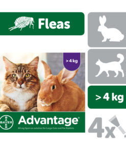 thuoc-tri-ve-ran-cho-meo-advantage-80-spot-on-solution-for-large-cats-and-pet-rabbits