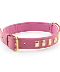 Vòng cổ cho chó Ancol Bull Terrier Dog Collar Pink Leather Rose Large