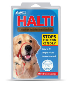 Vòng cổ cho chó Company of Animals HALTI Dog Headcollar Padded