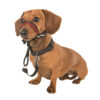 Vòng cổ cho chó Company of Animals HALTI OptiFit Dog Head Collar