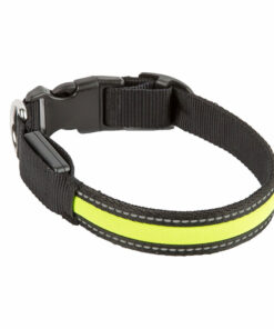 Vòng cổ cho chó Dog Walk Flashing Mesh Dog Collar