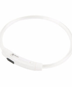 Vòng cổ cho chó Dog Walk Flashing USB Clear Dog Collar
