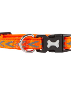 Vòng cổ cho chó Dog Walk Reflective Chevron Dog Collar Orange