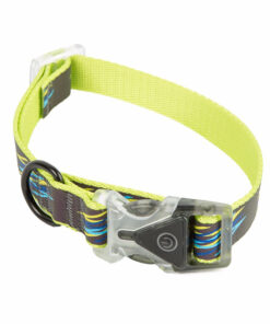 Vòng cổ cho chó Dog Walk Reflective Rainbow Dog Collar