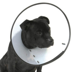 Vòng kỷ luật cho chó Company of Animals Elizabethan Smart Dog Collar