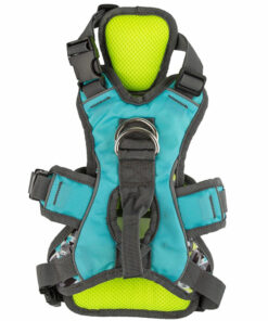 Xích cho chó đai ngực 3 Peaks Lime/Blue Excursion Dog Harness Small