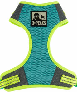 Yếm cho chó bằng vải 3 Peaks Reflective Mesh Dog Harness Turquoise Small